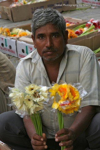 Bearing Gifts, Delhi, India