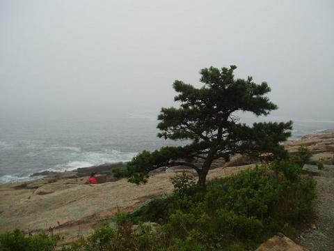 Acadia National Park