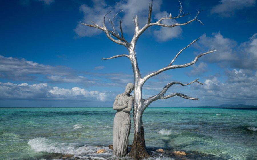 The Solomon Siren - The Island That Disappeared   Jason deCaires Taylor