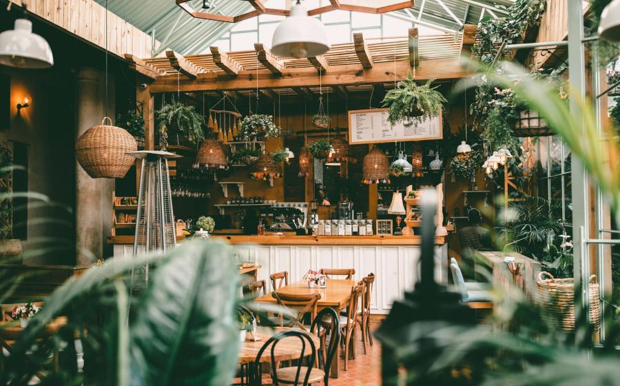 sun-filled cafe