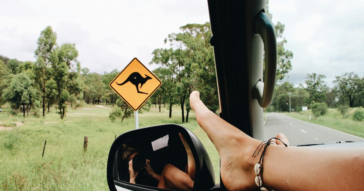 A kangaroo warning road sign beside an open Australian country road