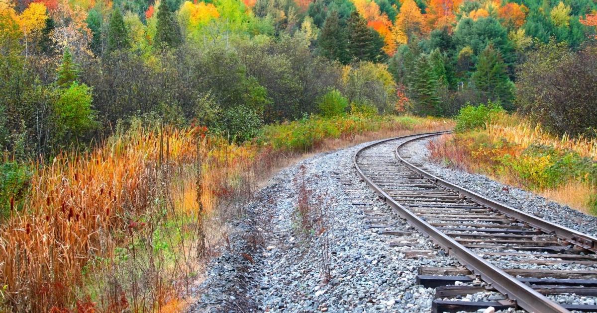 Fall color train tracks