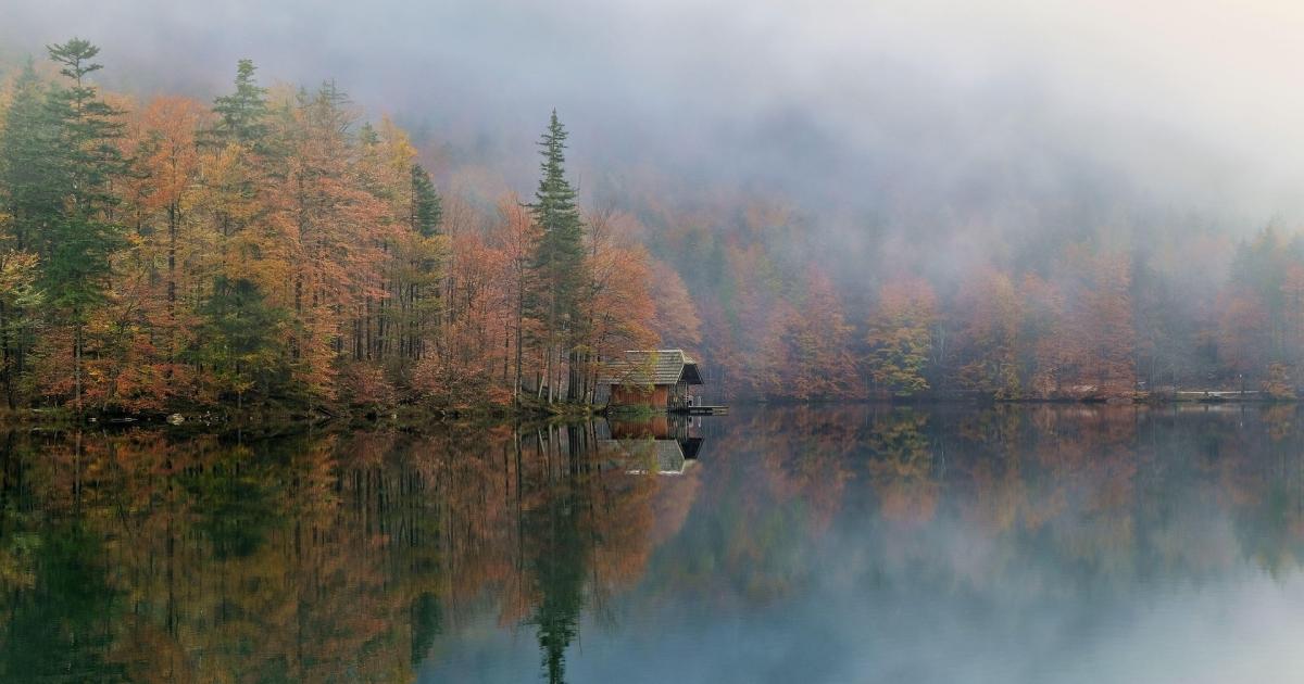 Lake and shoreline in autumn