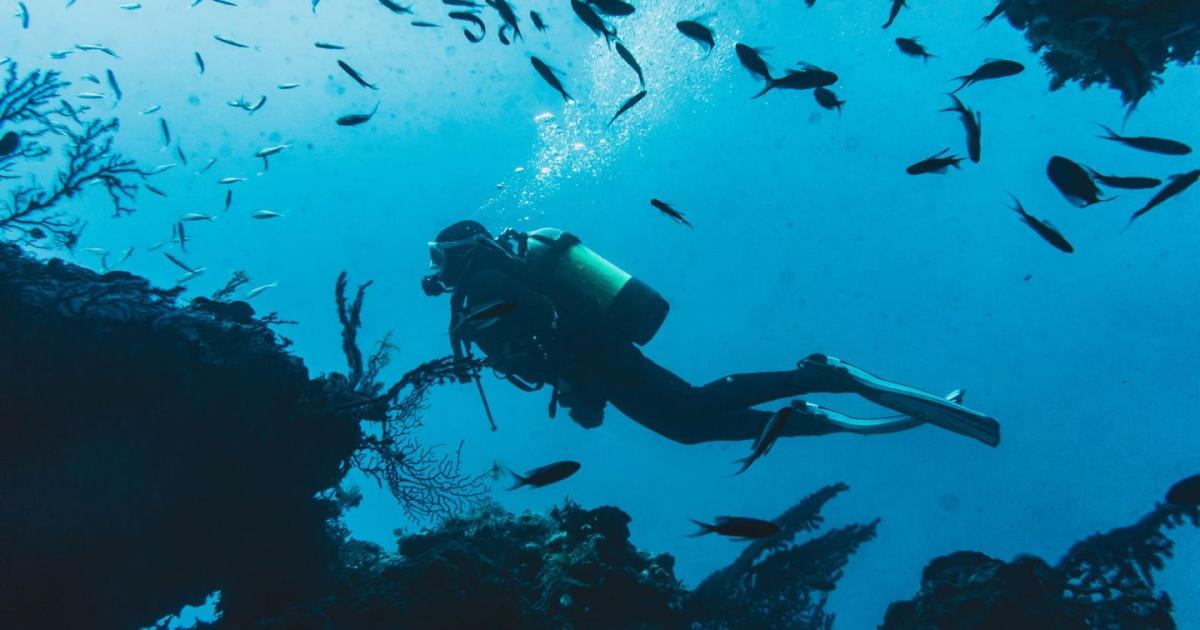 Scuba diver on a reef