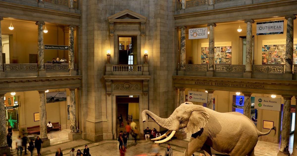 Smithsonian National Museum of Natural History