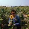 Profile picture for user Austin Weihmiller